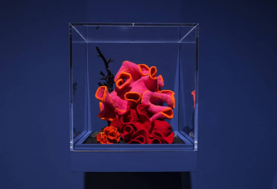 Christine and Margaret Wertheim’s Crochet Coral Reef were included at the Venice Biennale.