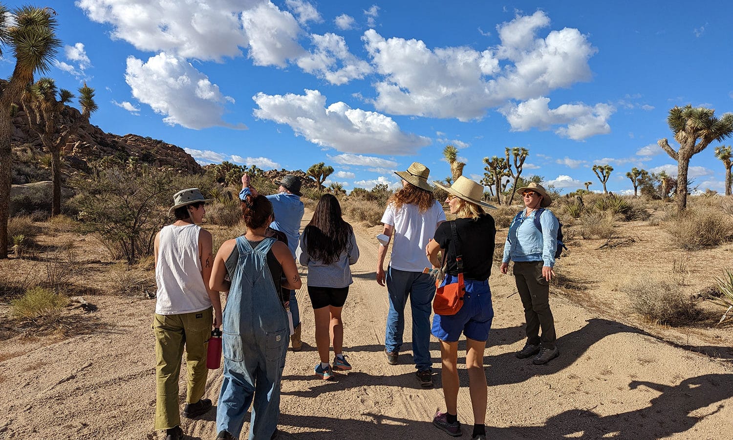 Group walks on trail surrounded by Joshua trees with cloudy blue sky overhead