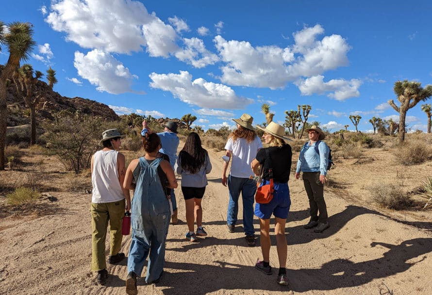 Group walks on trail surrounded by Joshua trees with cloudy blue sky overhead