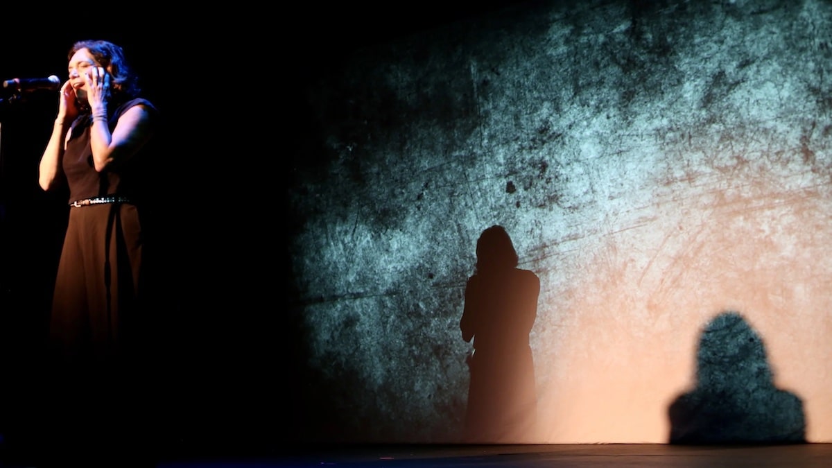 Lisa Anne Morrison, The Menopause Monologues