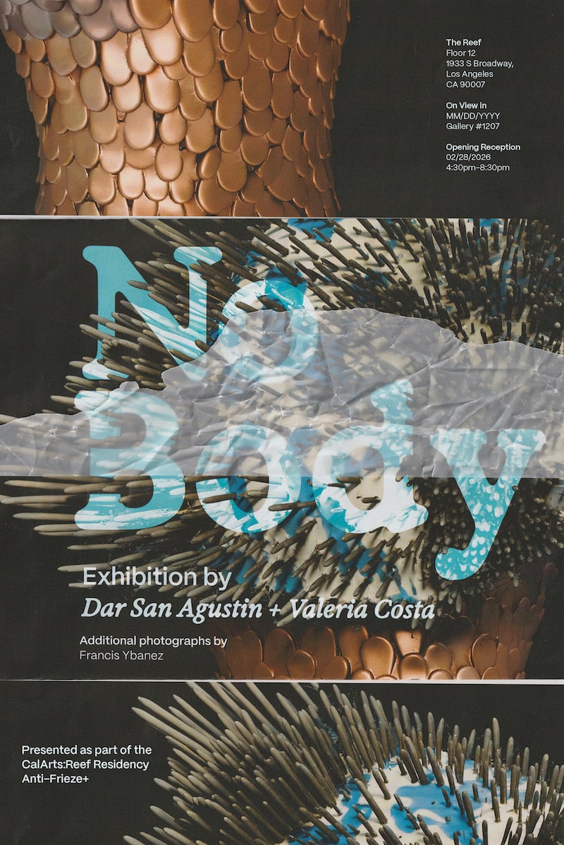 Nobody exhibition by Dar San Agustin & Valeria Costa