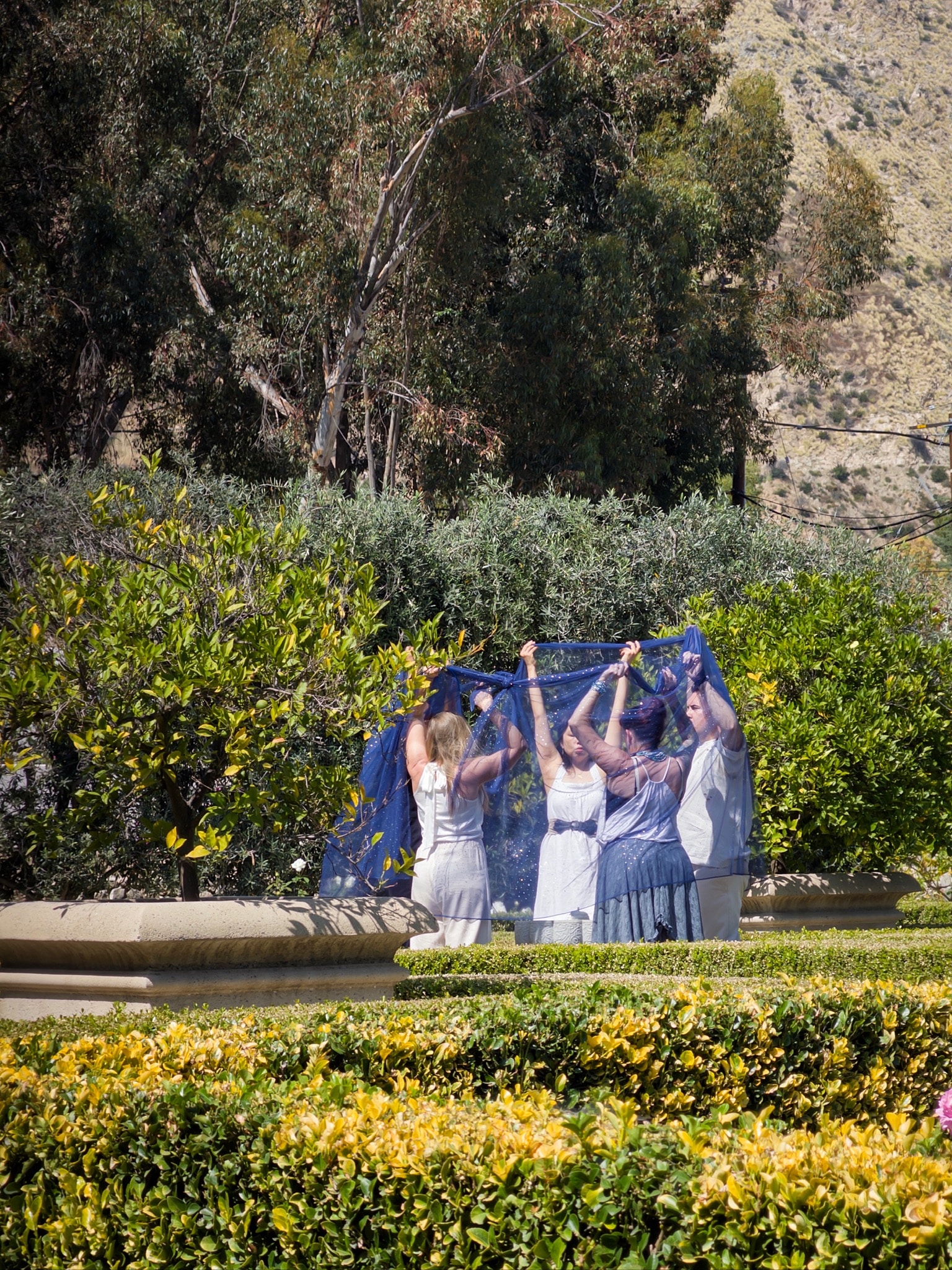 Four people wearing light-colored dresses hold up sheer blue fabric in a garden surrounded by lush green and yellow shrubs.